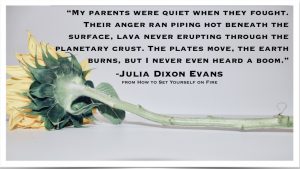 This is a quote from How to Set Yourself on Fire by Julia Dixon Evans. Reviewed by Independent Book Review