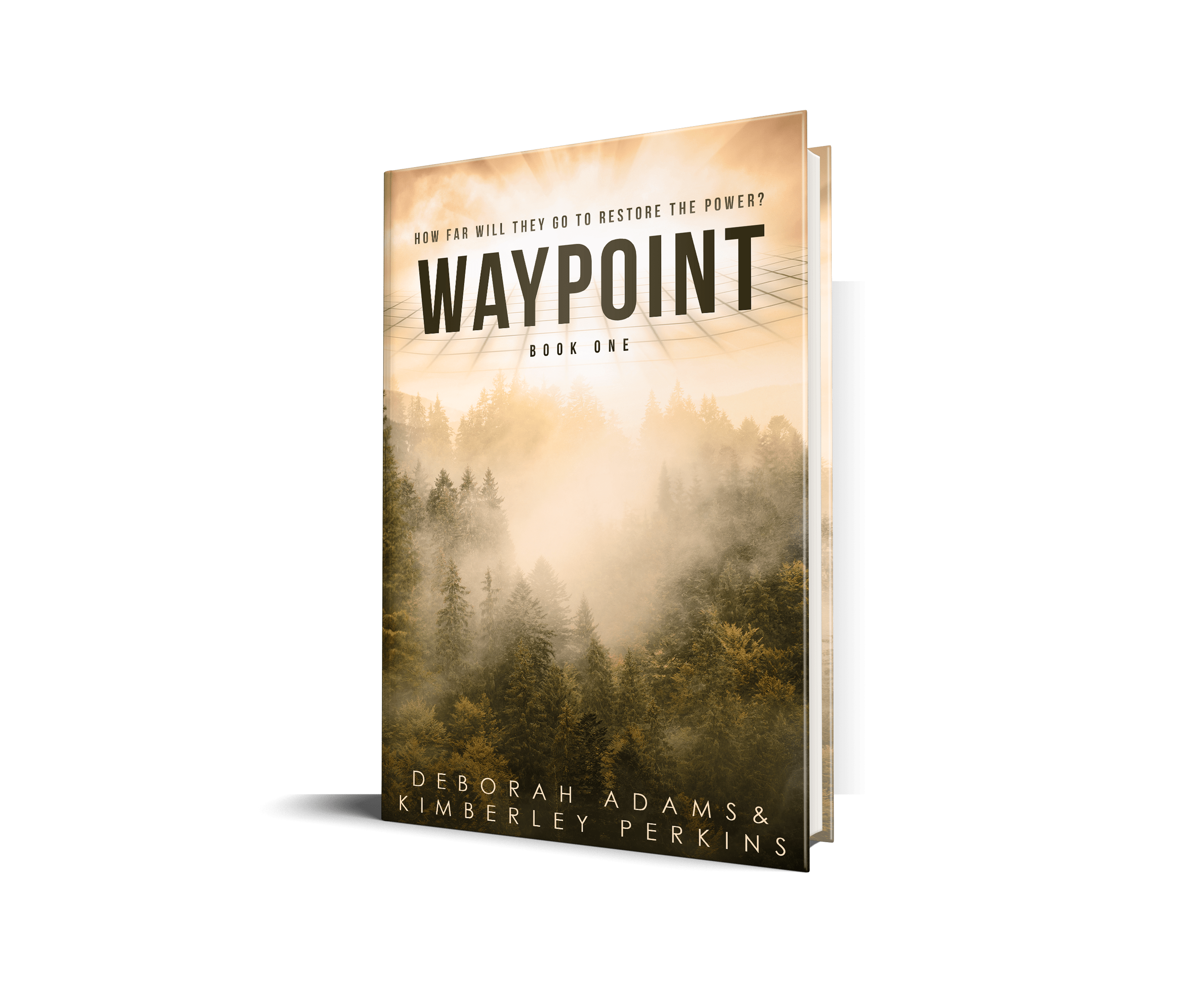 Waypoint by Deborah Adams and Kimberley Perkins. Book cover for Independent Book Review