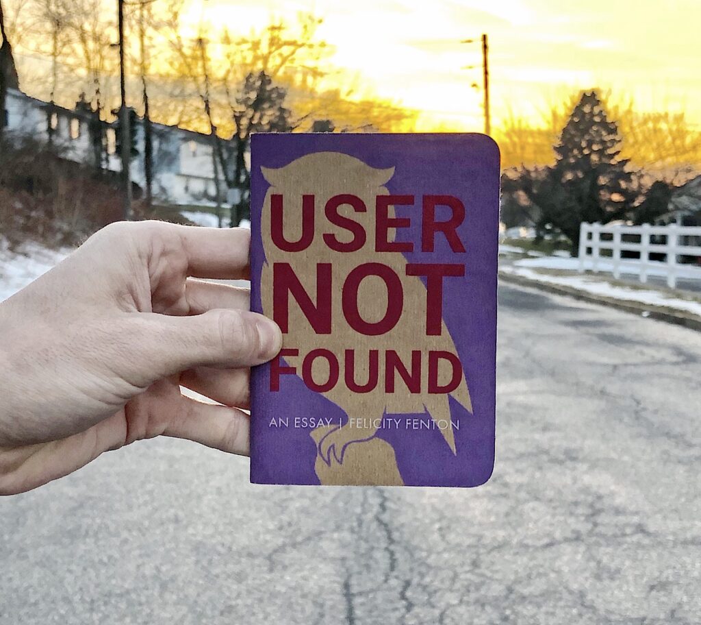 Independent Book Review's original picture of User Not Found by Felicity Fenton for Joe Walters book review