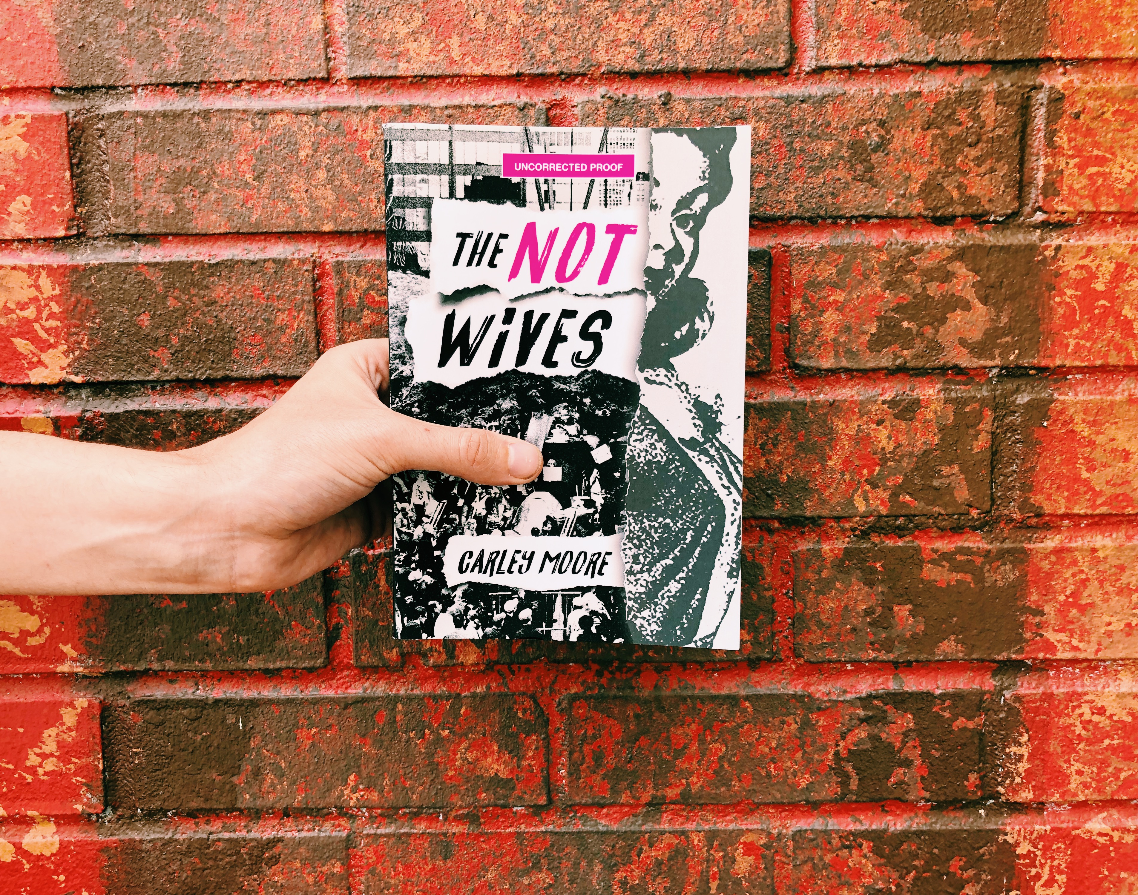 Book Review: The Not Wives