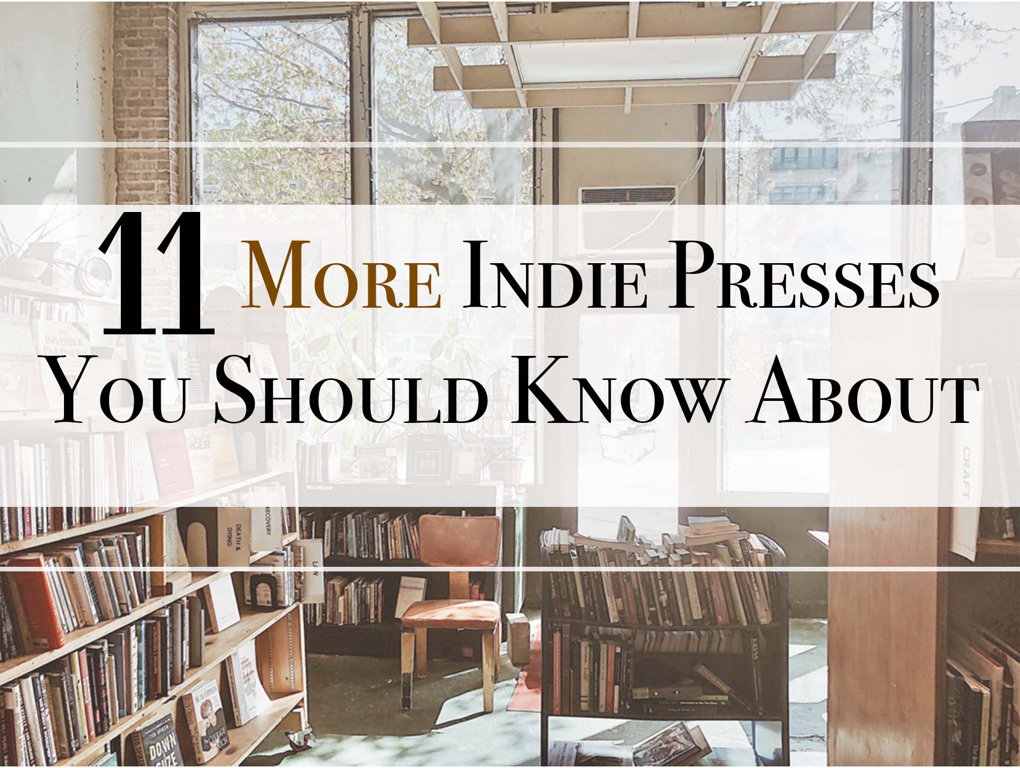 This IBR original photo is for "11 More Indie Presses You SHould Know About" and the picture was taken at Downtown Books & News