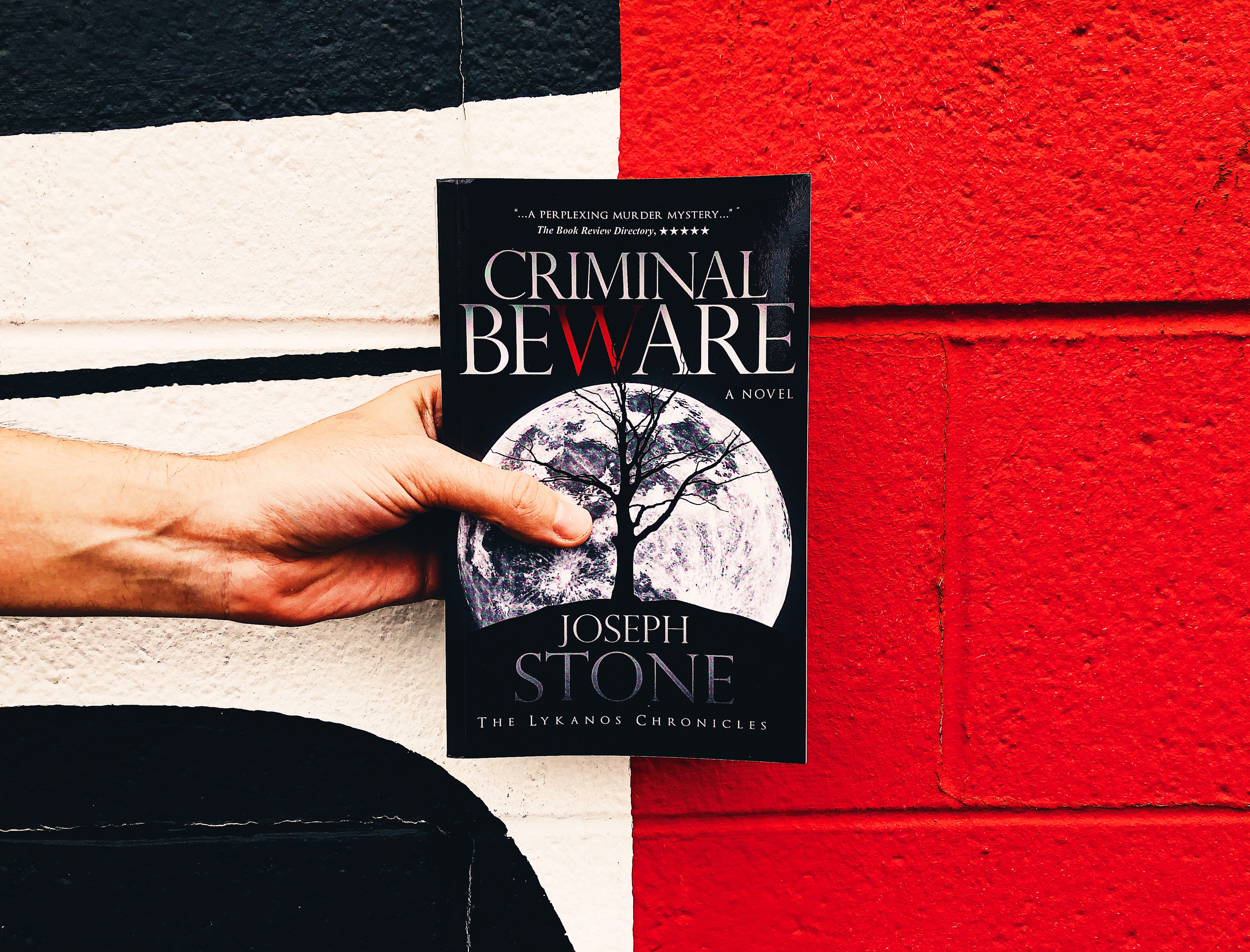 Book Review: Criminal Beware