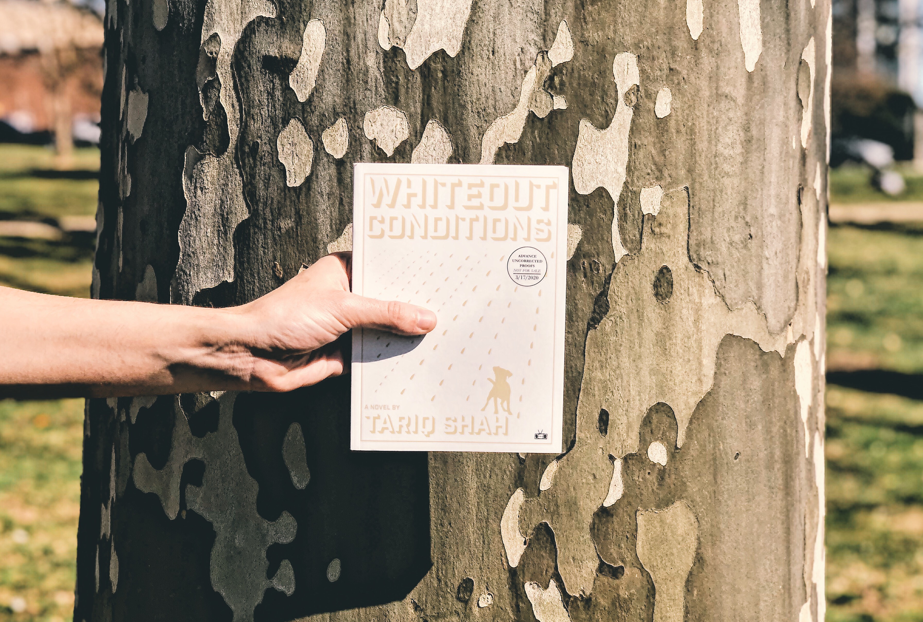 Book Review: Whiteout Conditions