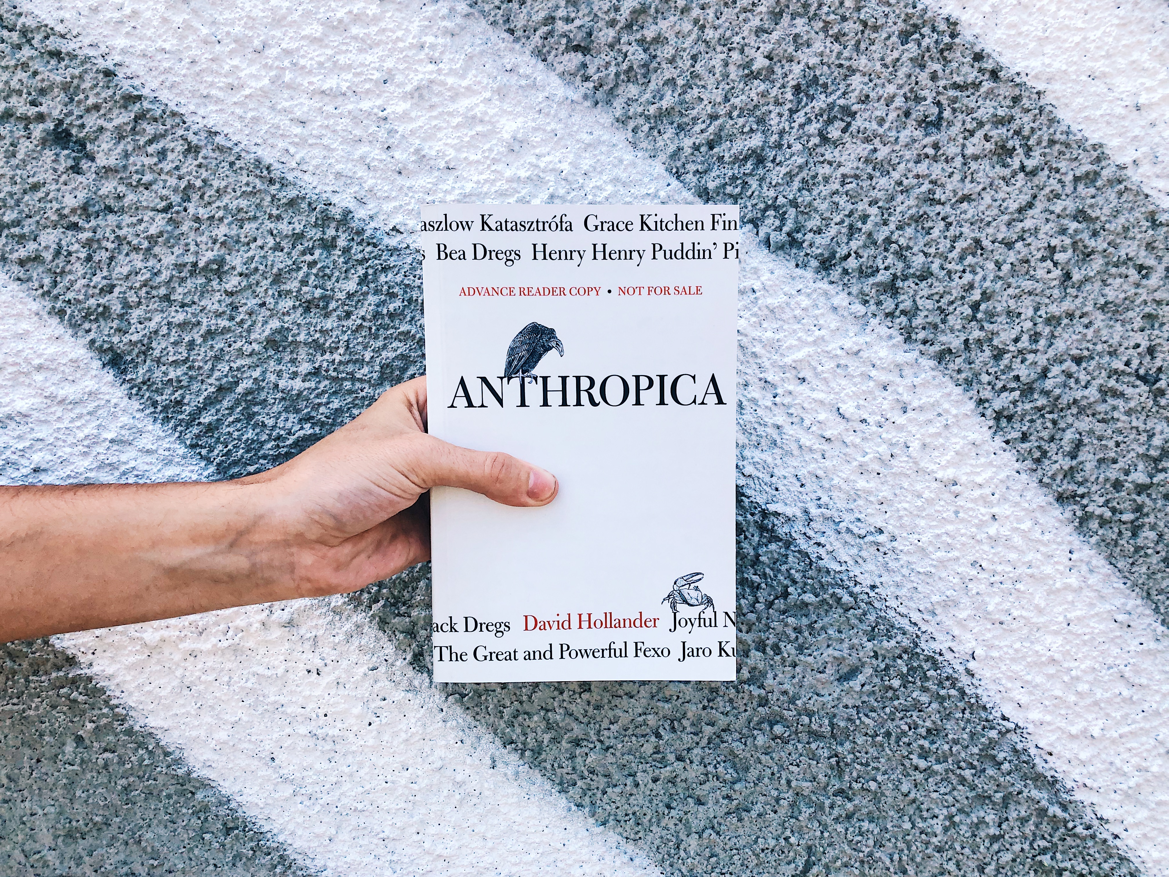 this is the paperback book of Anthropica by David Hollander for independent book review