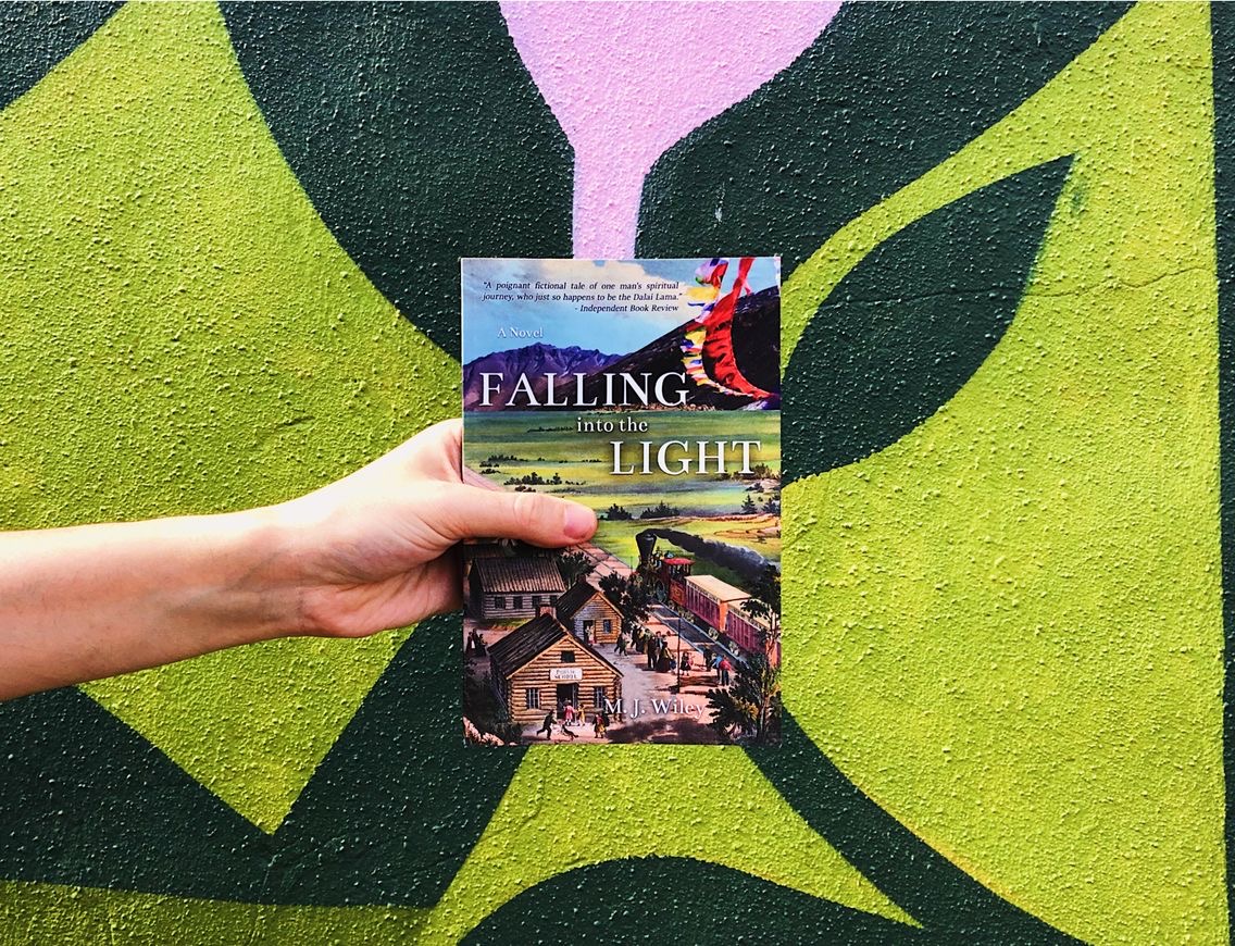 Falling Into the Light by MJ Wiley paperback photo