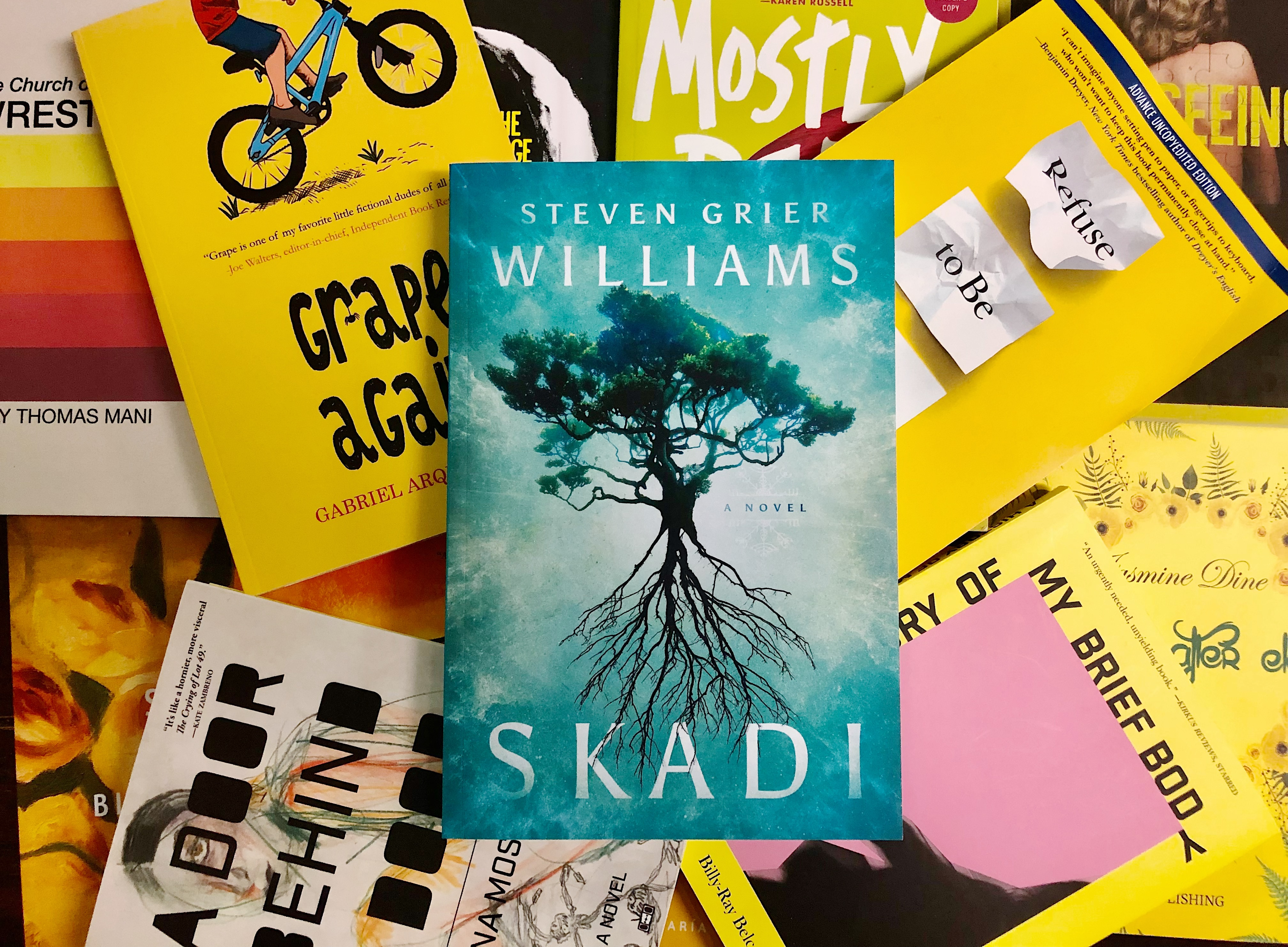 Skadi by Steven Grier Williams book review