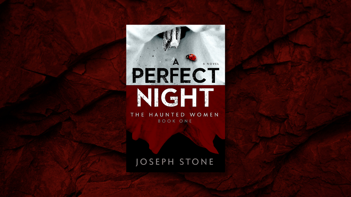 Book Review: A Perfect Night