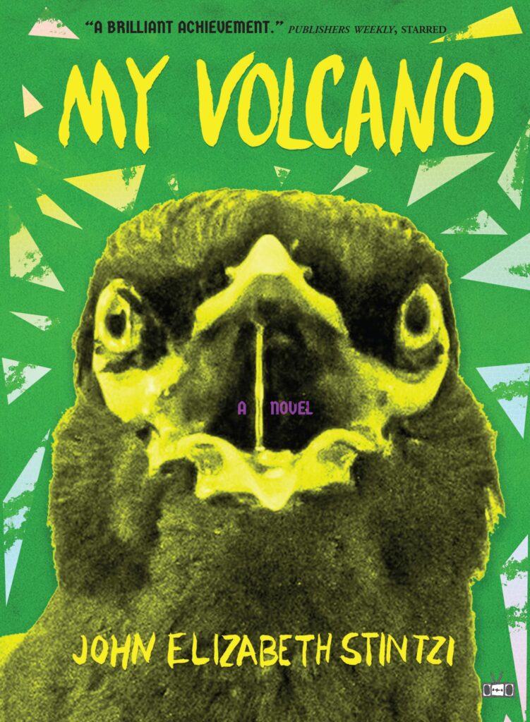 My Volcano book cover with hawk on front by John Elizabeth Stintzi