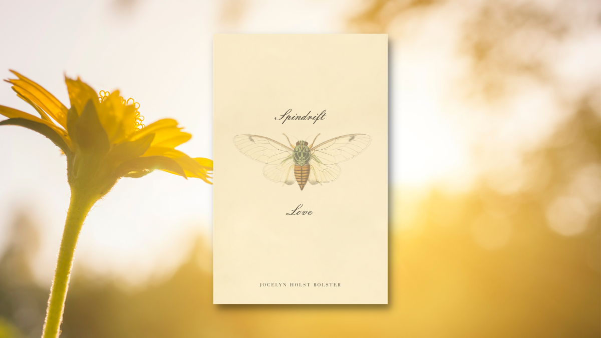 Book Review: Spindrift Love