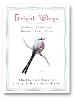 Bright wings is one of the best poetry bird books