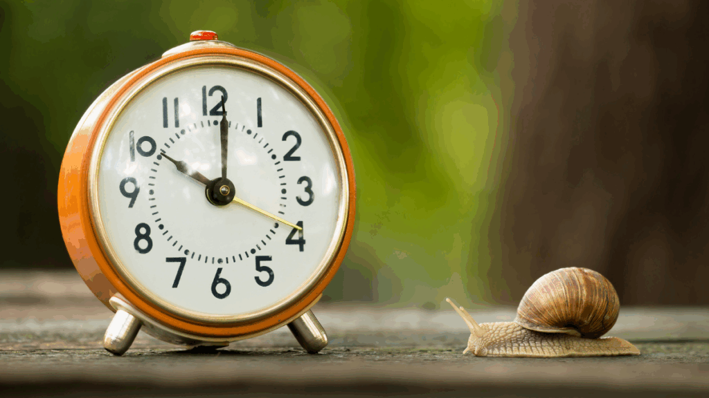 snail chasing a clock
