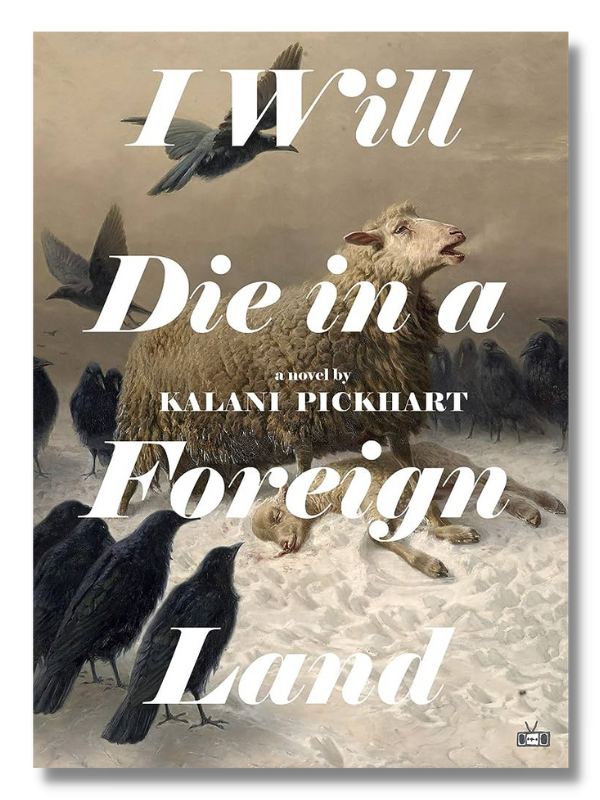 I Will Die in a Foreign Land by Kalani Pickhart is one of the best book club books you'll read this year