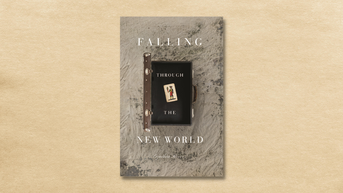 Book Review: Falling Through the New World