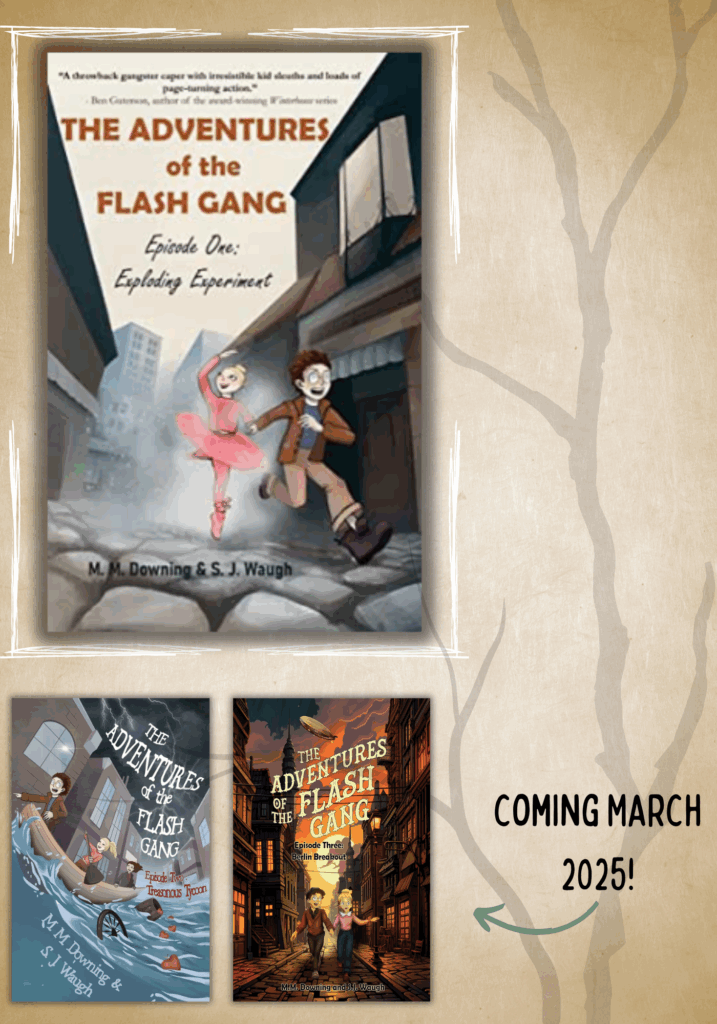 adventures of the flash gang series