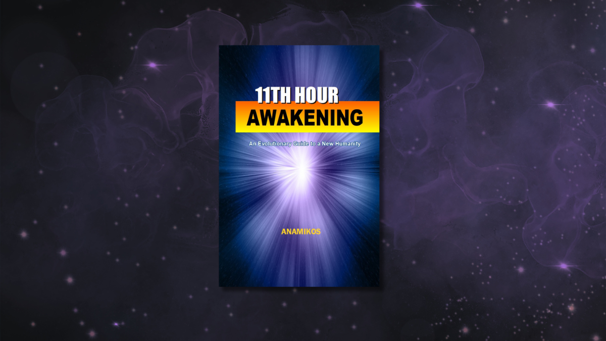 Book Review: 11th Hour Awakening