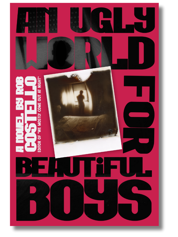 Book Review: An Ugly World for Beautiful Boys