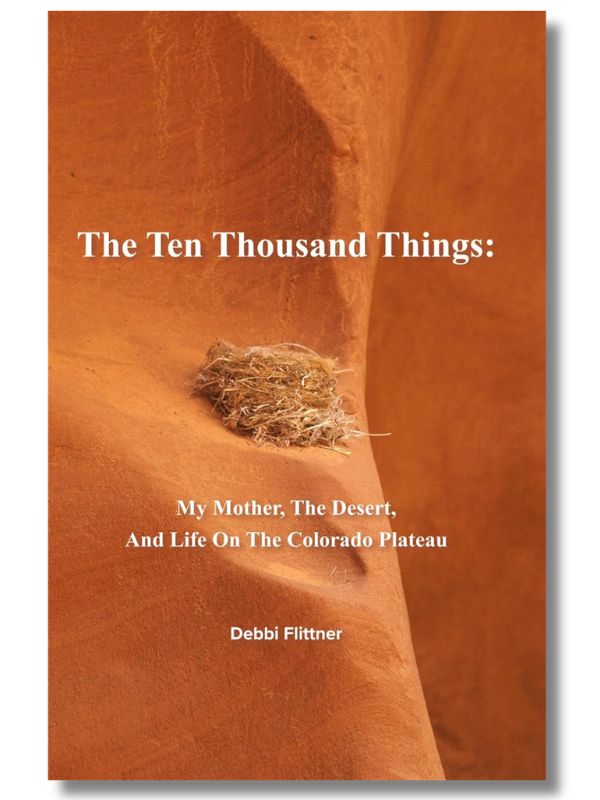 STARRED Book Review: The Ten Thousand Things