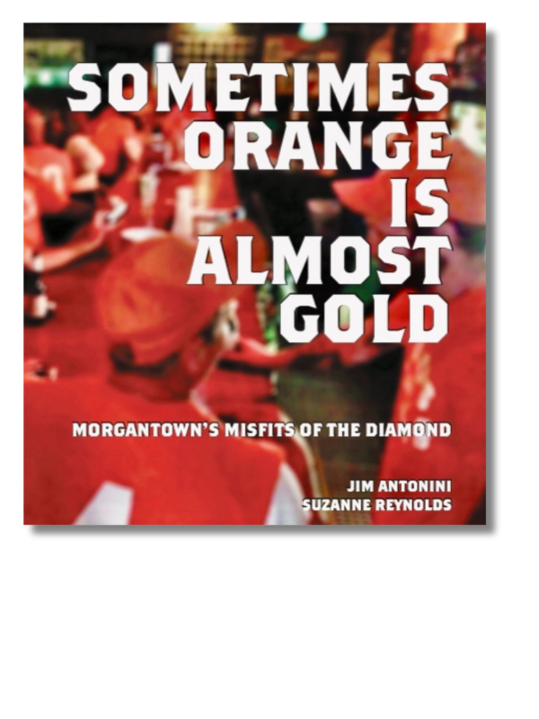 STARRED Book Review: Sometimes Orange Is Almost Gold